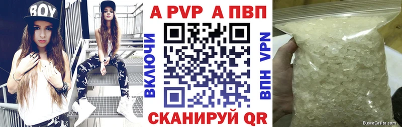 A PVP СК  Новокубанск 