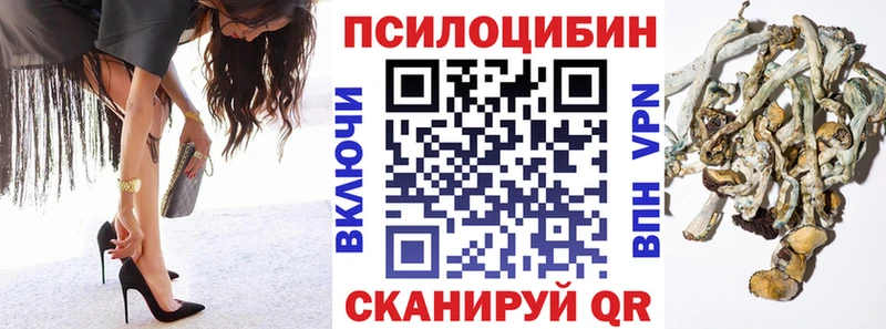Псилоцибиновые грибы GOLDEN TEACHER  hydra онион  Новокубанск 